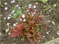 cc5ff5aa-Picture 5877.jpg